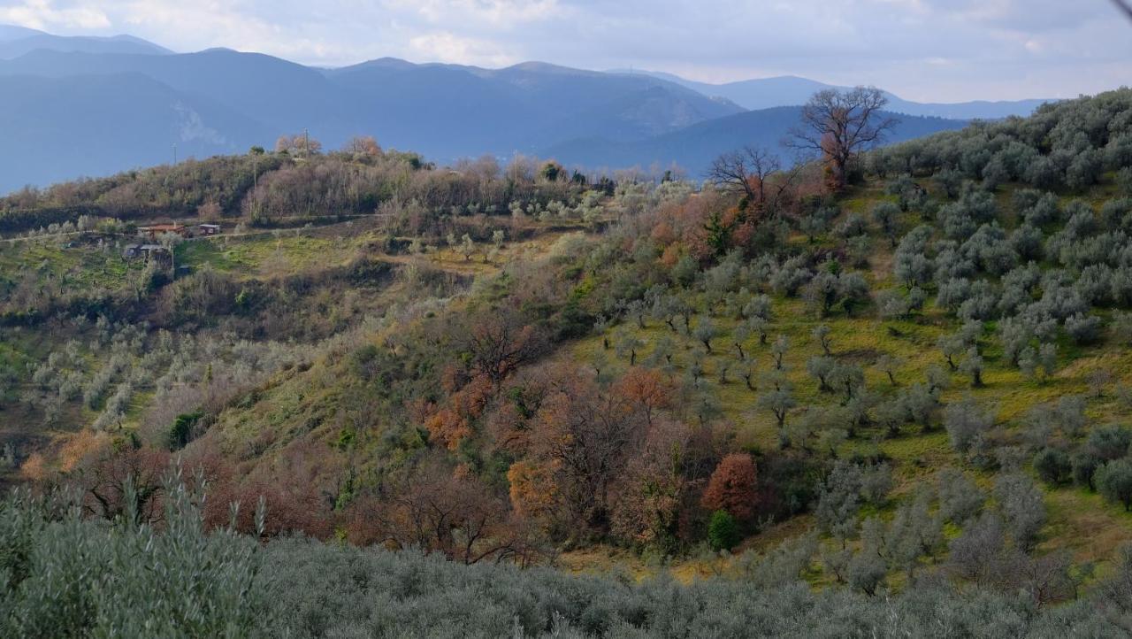 Agriturismo Il Casaletto Montefranco Ngoại thất bức ảnh