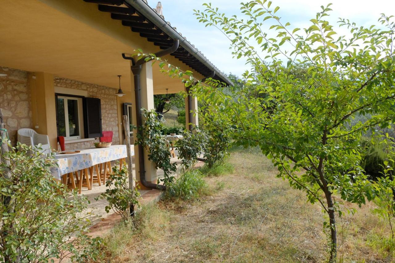 Agriturismo Il Casaletto Montefranco Ngoại thất bức ảnh