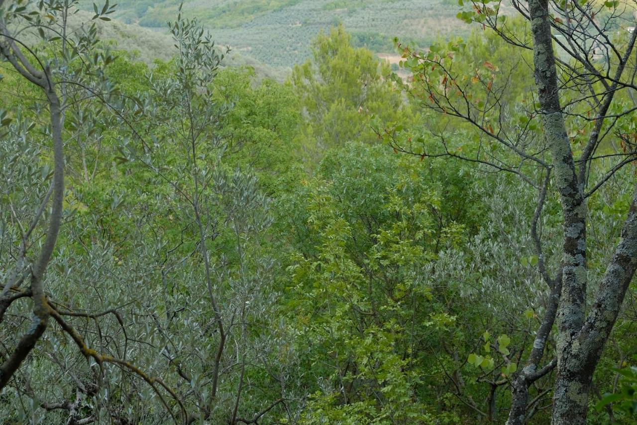 Agriturismo Il Casaletto Montefranco Ngoại thất bức ảnh